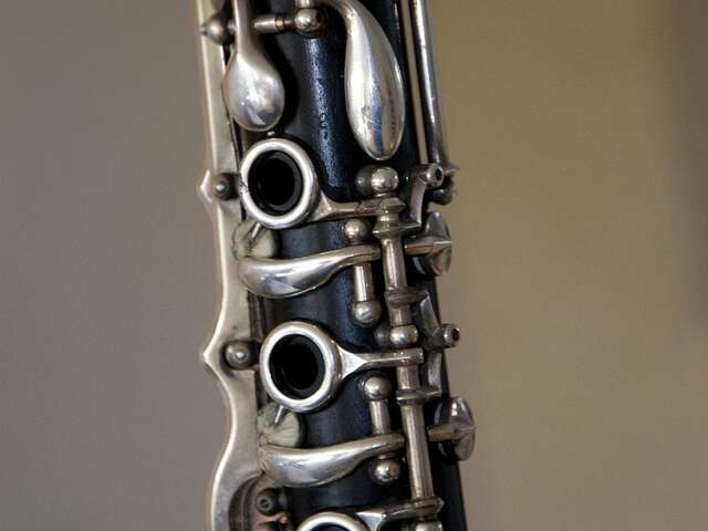 Les Zigolos: Musique: DG Swing Quartet