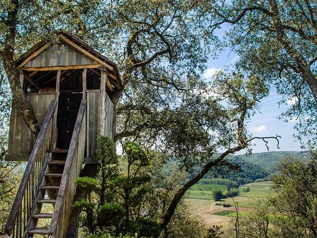 Loto du rugby : avec une nuit dans les arbres a gagner