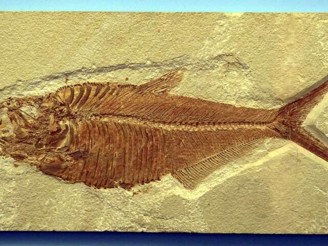 Les vacances d'hiver sur les Sites préhistoriques de la vallée de la Vézère