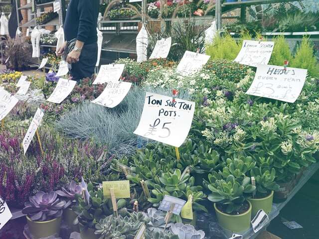 Terre en vert : Troc de plantes