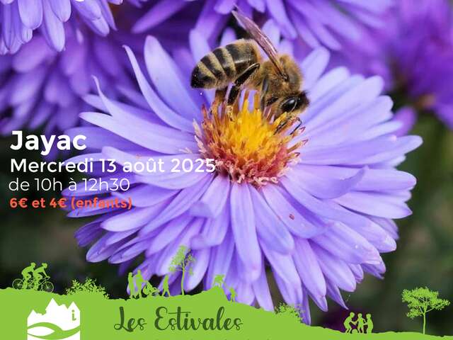 LES ESTIVALES : Le monde des abeilles - Jayac