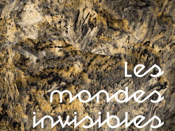 Exposition - Les mondes invisibles de Aurélien Mauplot