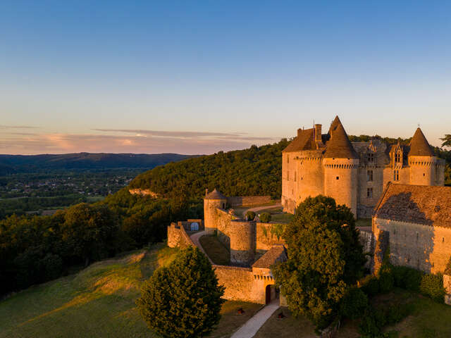 Château de Fénelon