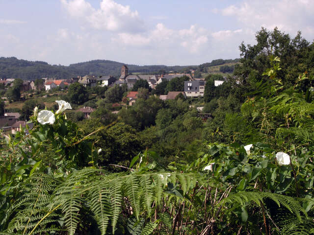 Balade secrète en Corrèze "Au cœur des châtaigniers"