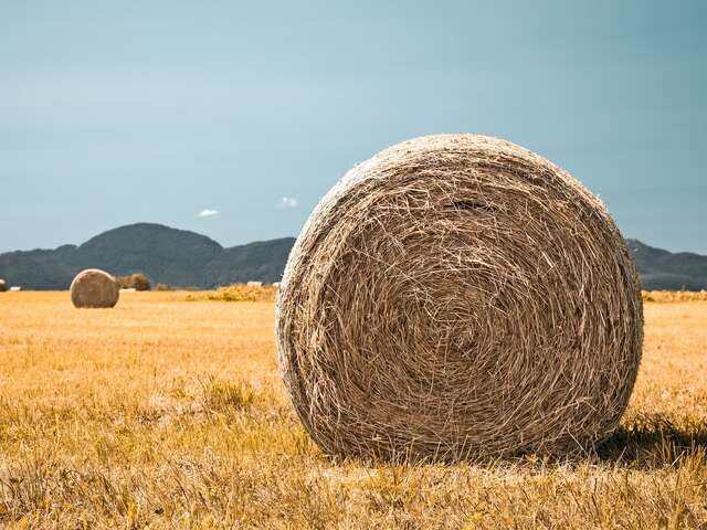 Fermes ouvertes : autour de Souillac