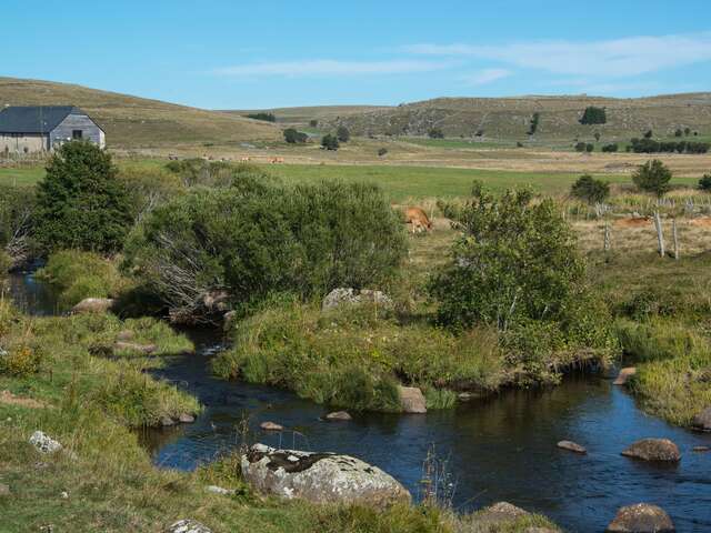 L'AUBRAC, TERRE DE TRANSHUMANCE