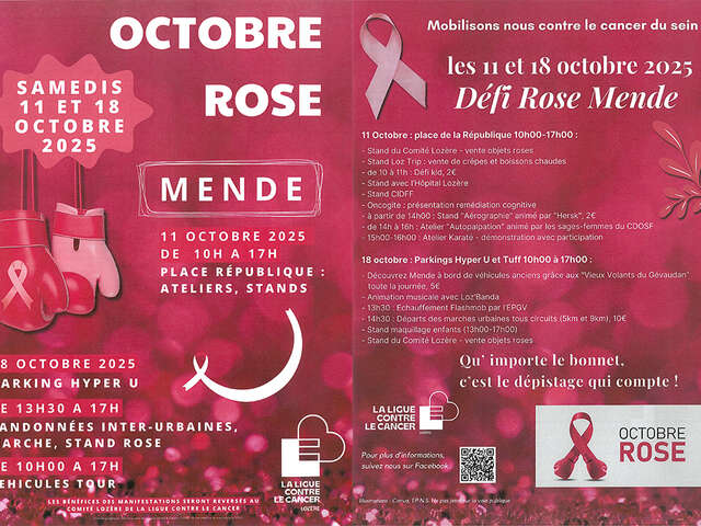 DÉFI ROSE