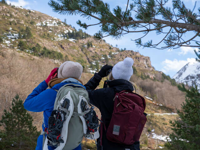 Randonnée sur les traces de la faune sauvage