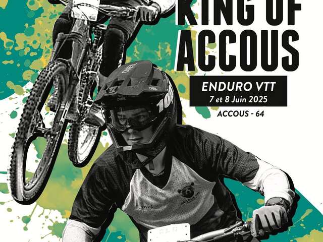 Championnat enduro VTT