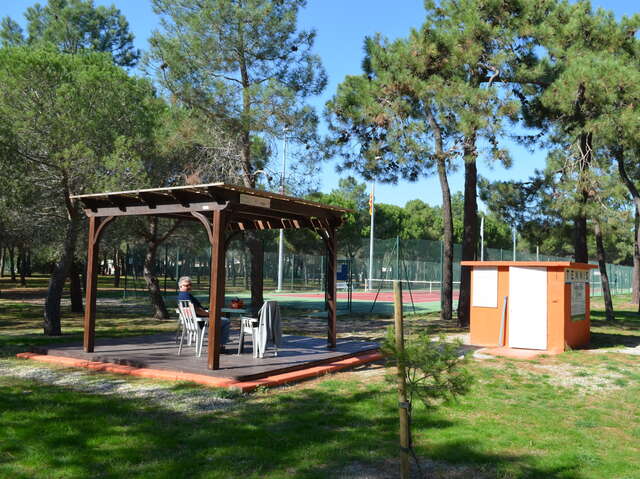 FOREST PIN'S TENNIS