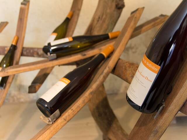 DOMAINE DE BELLIVIERE