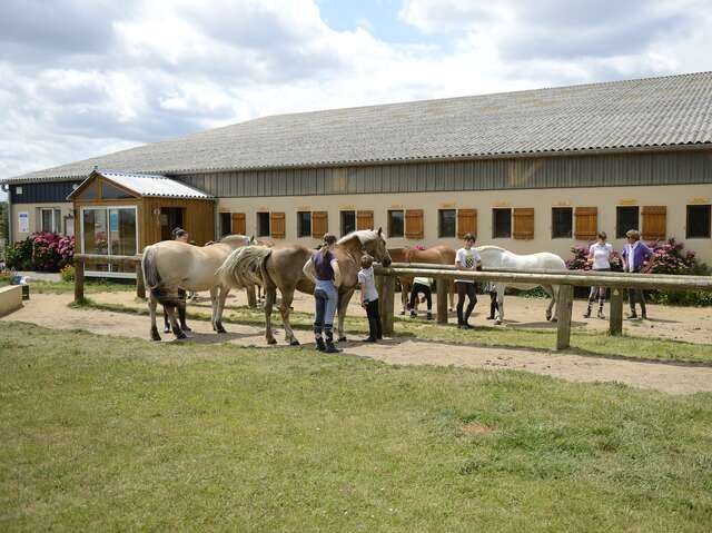 Poney Club Atou Crin