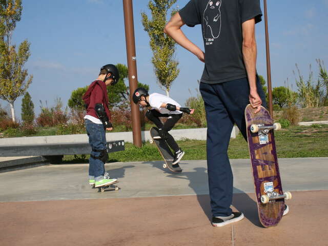 Stages de skateboard