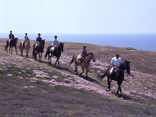 Équitation : Domaine des chevaliers de Bangor