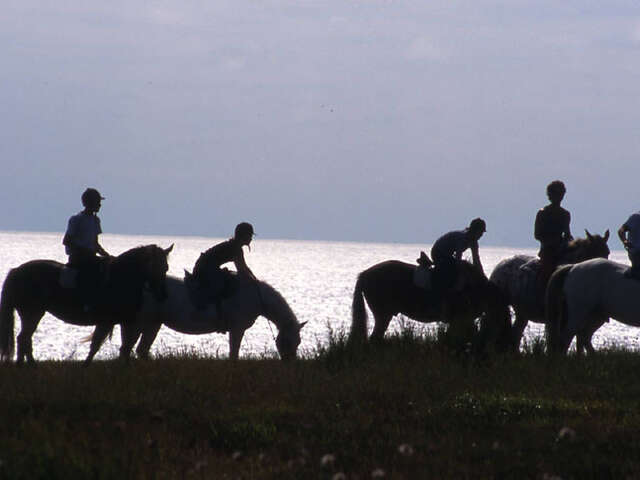 Équitation : La Ferme du Poney Bleu