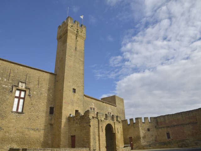 Visite guidée : Un Château Fort en Printemps