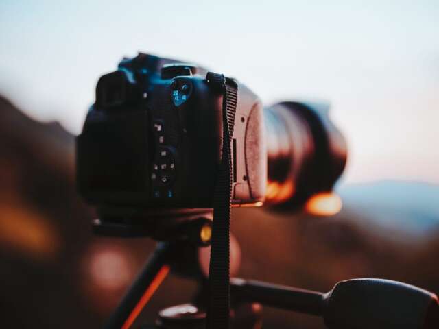 Lecture par nature :  Sur les chemins