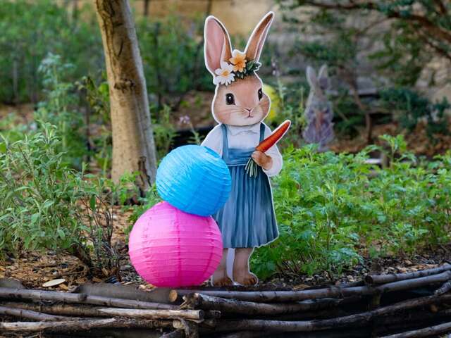 Chasse aux œufs au Château