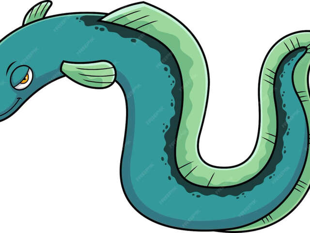 Spectacle : Camille l'Anguille