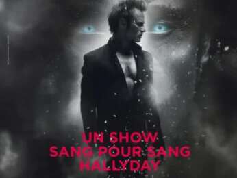 Concert - David Hallyday