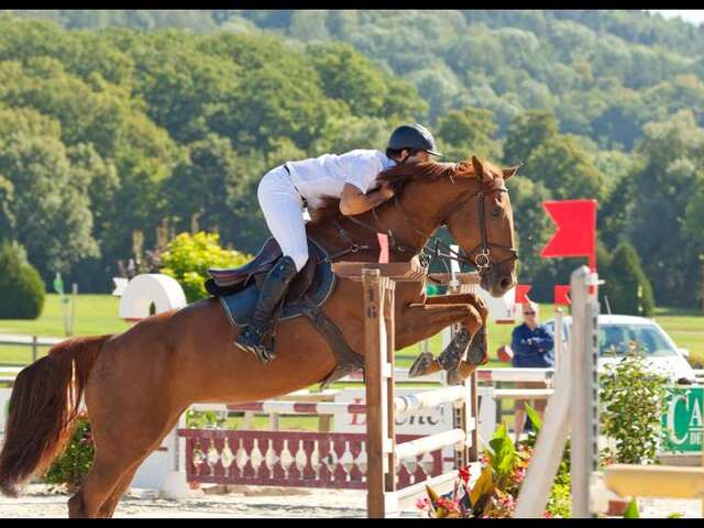 Concours de sauts d'obstacles club - prépa