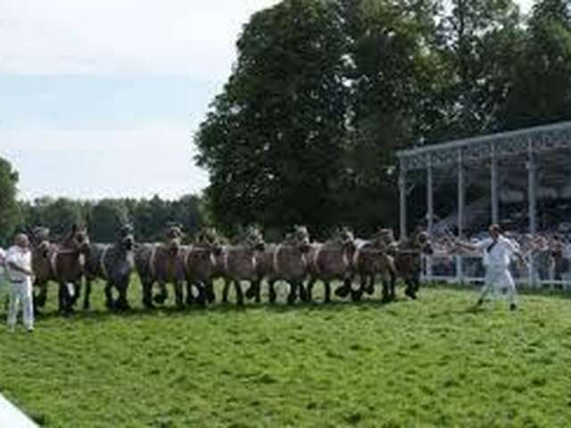Concours national de trait ardennais