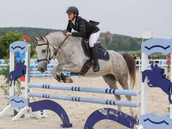 Concours de sauts d'obstacles club - poneys
