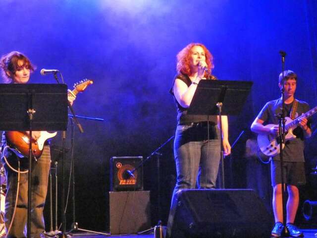 Concert blues rock reggae