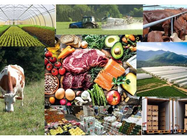 Conférence UCP : L'impact environnemental de nos assiettes