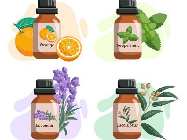 Conférence bien-être : les huiles essentielles de l'hiver