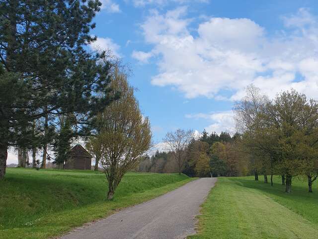 Circuit pédestre 12 les crêtes du montfort - 11.5 km