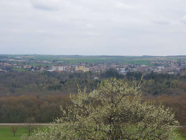 Circuit pédestre 15 de Sainte-Anne - 6.5 km
