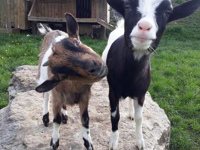TOUS A LA FERME