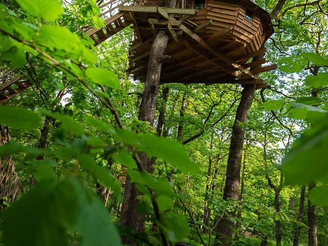 Vit tel ta nature