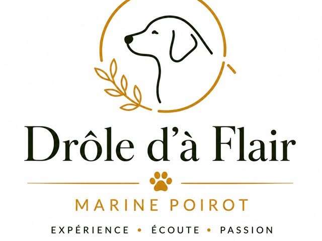 Dog Trainer - Drole Da Flaire