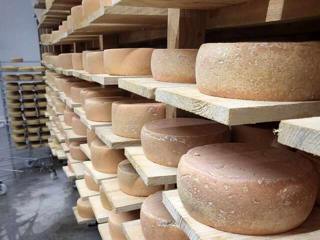 Visite de la fromagerie de la Ferme du Pichet