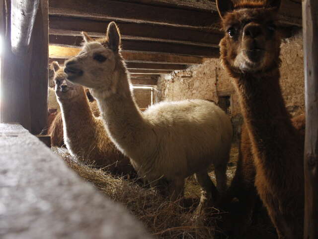 Ferme pédagogique de l'Altiplano