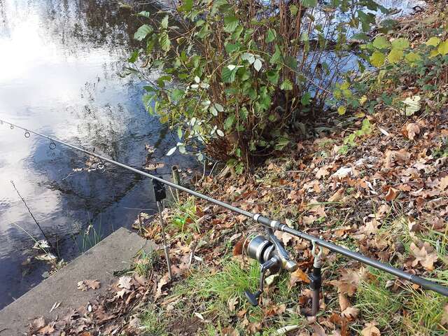 Domaine de Kiesbruck