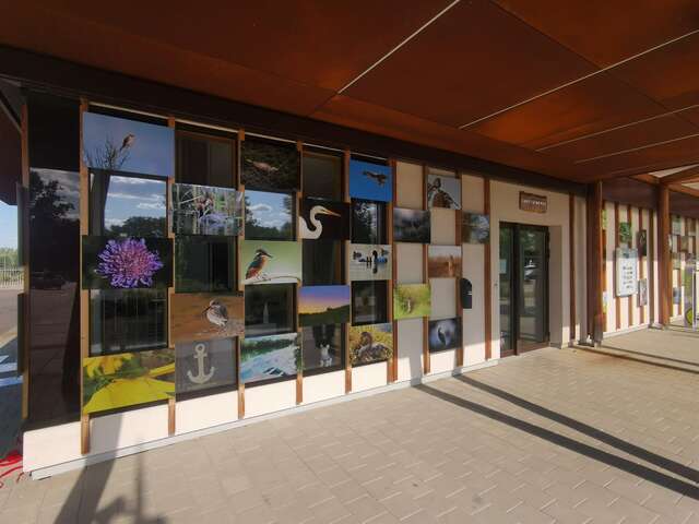 Exposition photos nature