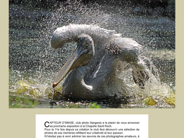 Exposition Capteur d'image