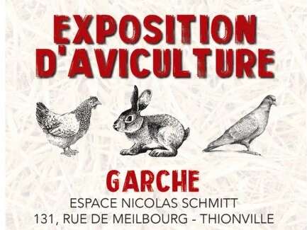 Exposition Avicole