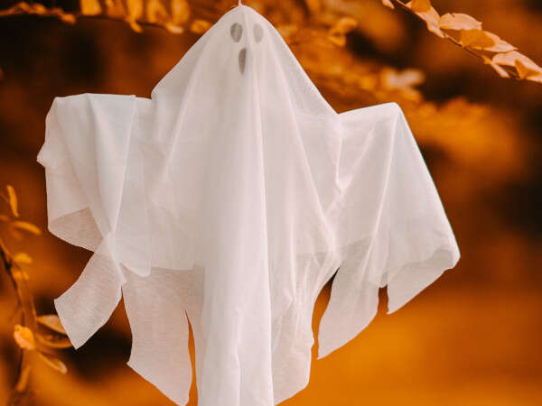 Atelier : « Déco Halloween »