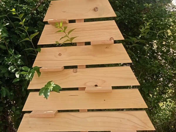 Atelier : « Fabrication de son sapin de Noël »