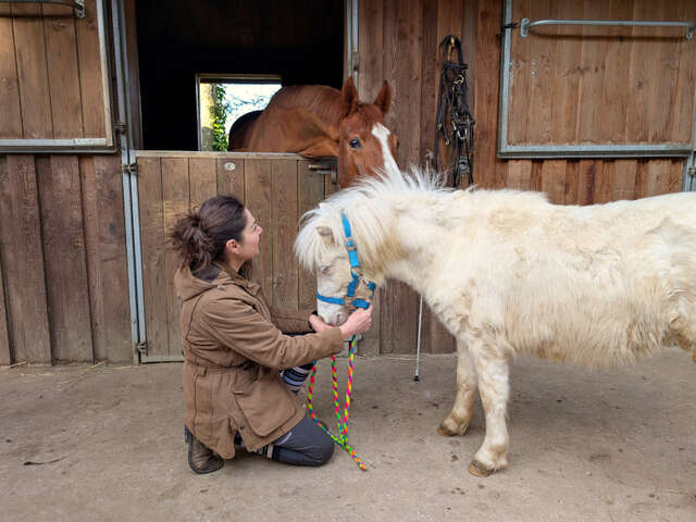 Atelier petits soigneurs
