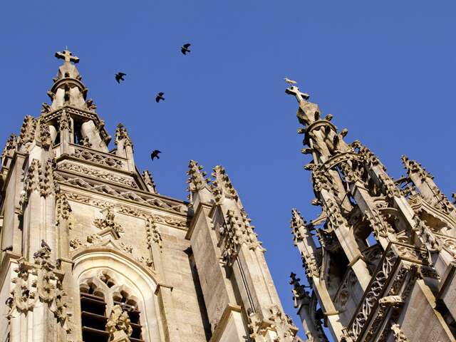 Visite Guidée de la flèche sud de la Basilique de l'Epine