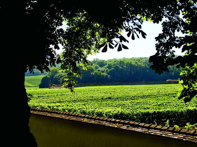 Maison de Champagne Canard-Duchêne