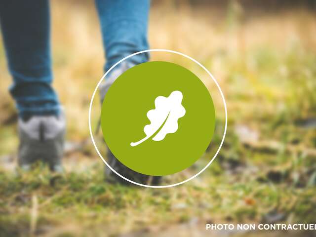 Escapades : Randonnée découverte des croix rurales à Sompuis