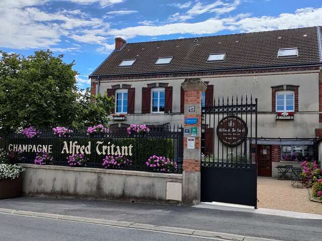 Champagne Alfred Tritant