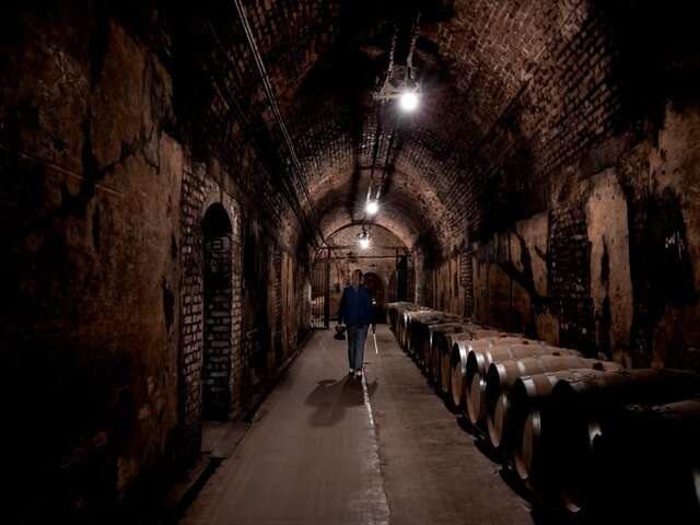 Champagne Guy Charbaut