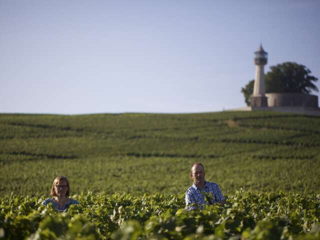 Champagne Jean-Claude Mouzon